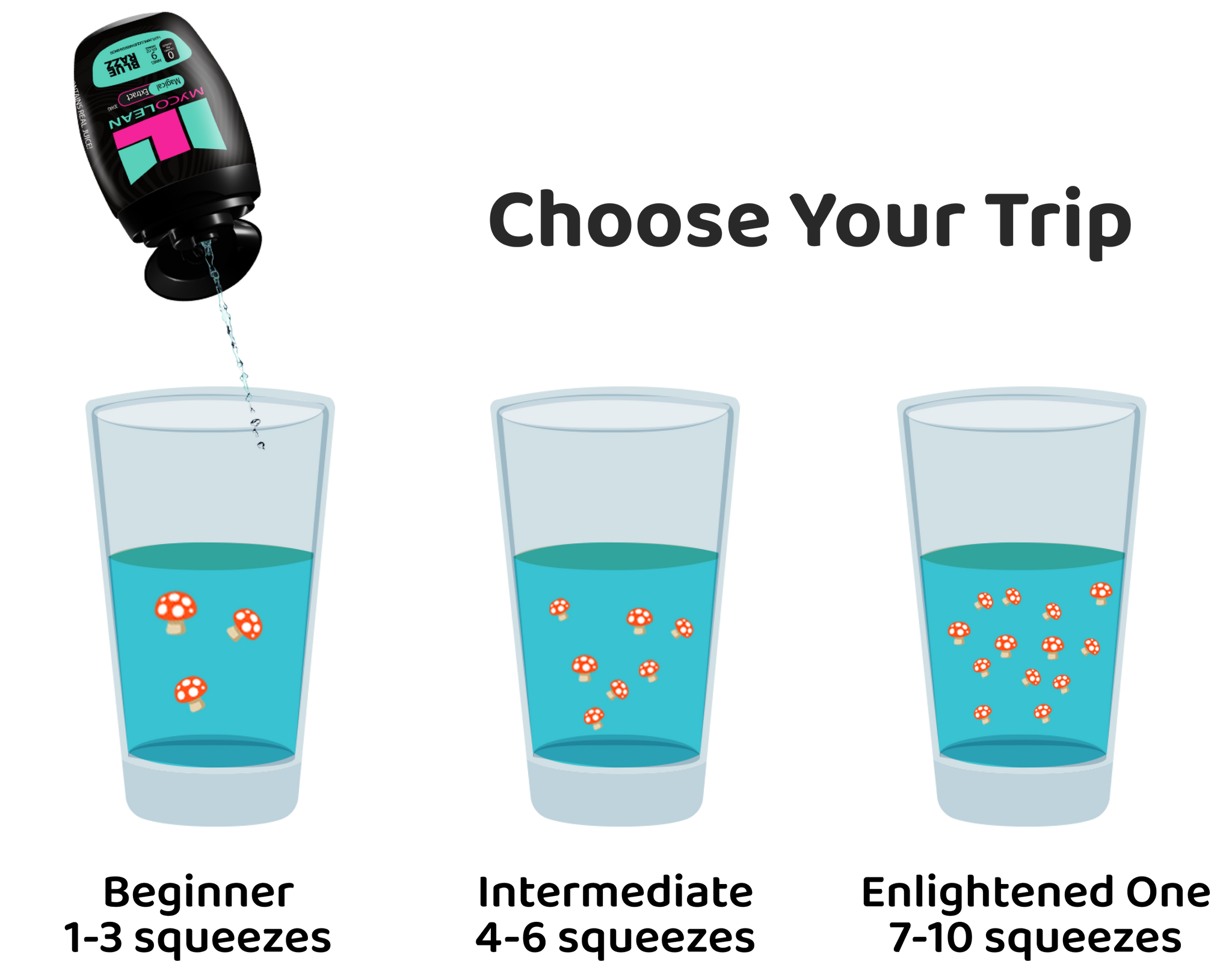 Choose Your Trip